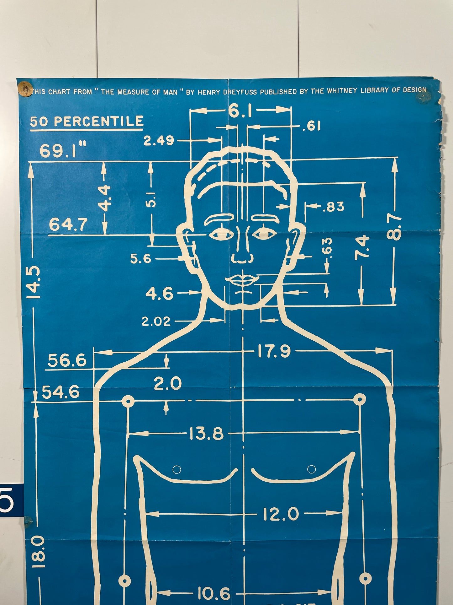 Henry Dreyfuss Measure of Man Posters