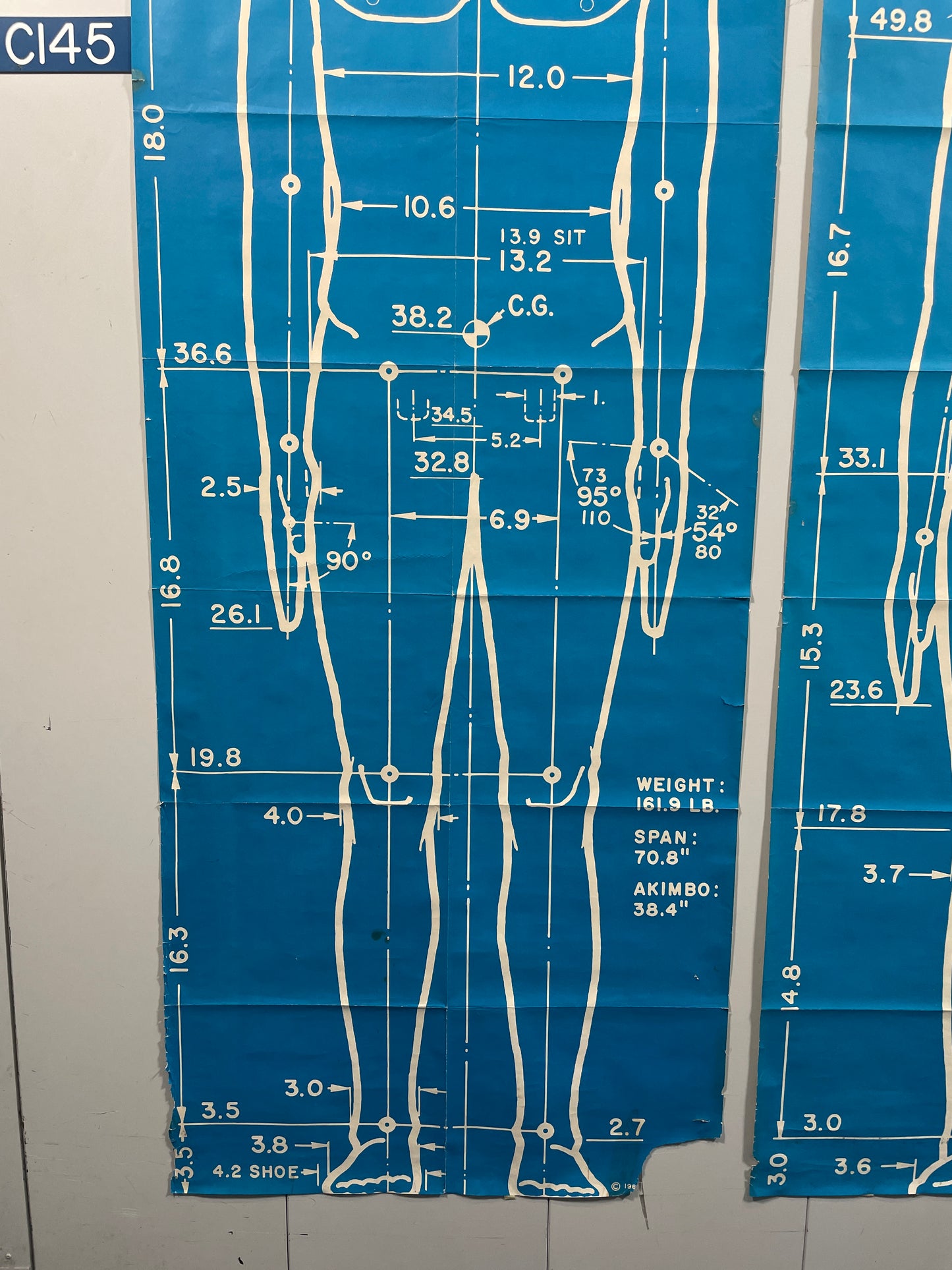 Henry Dreyfuss Measure of Man Posters