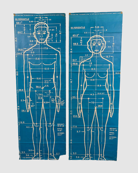 Henry Dreyfuss Measure of Man Posters